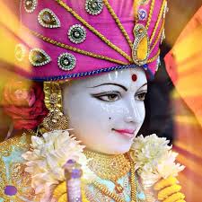 Shree Swaminarayan Hindu Temple New Jersey