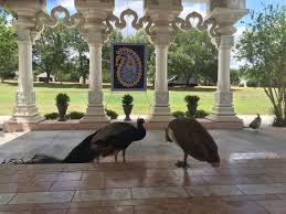 Radha Madhav Dham Temple Austin